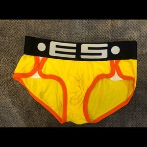 ES Briefs. Large